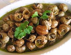 lumache