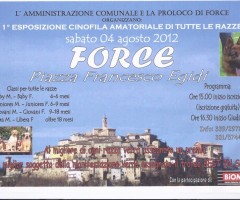 mostra cani