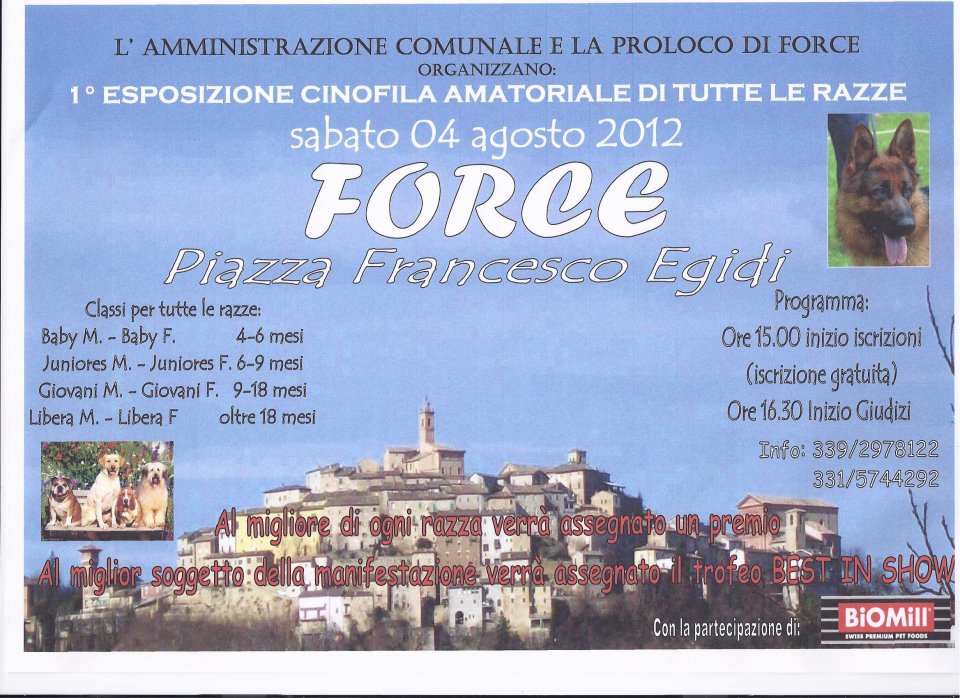 mostra cani