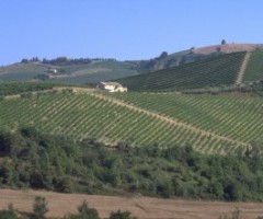 Tenuta Cocci Grifoni