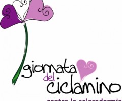 ciclamino