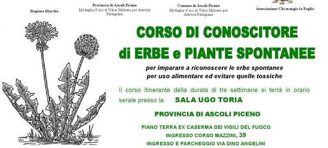 corso erbe