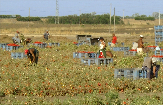 Lavoratori stranieri