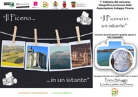concorso fotografico