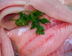 Pesce-Persico