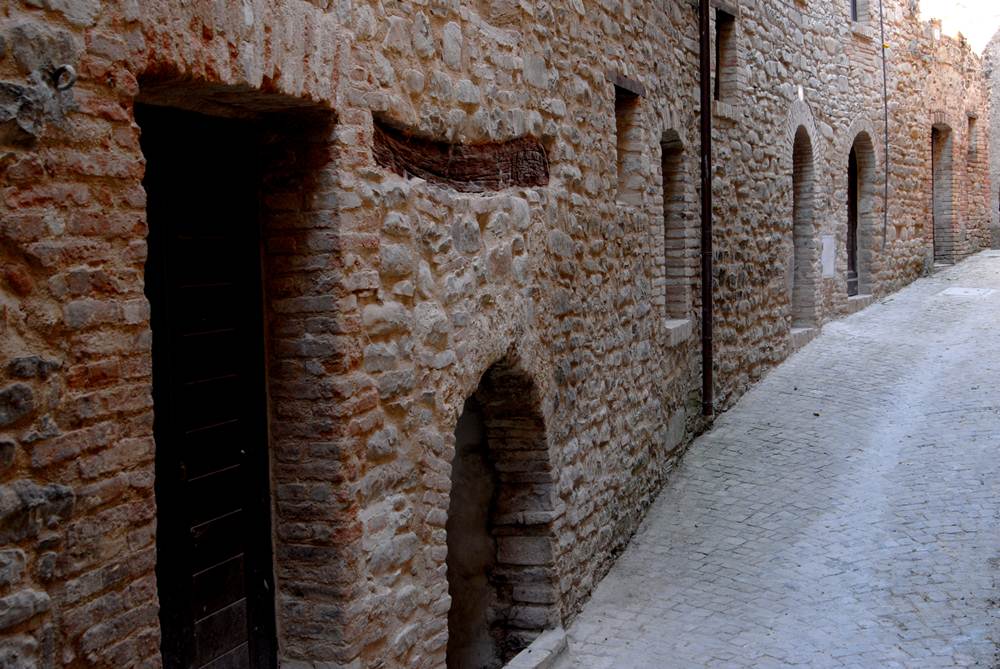 Poggio Canoso 13