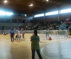 goalball ascoli
