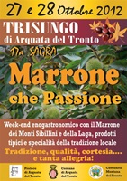 sagra marrone
