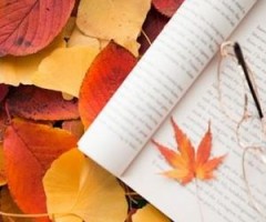 percorsi letterari novembre