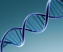 DNA
