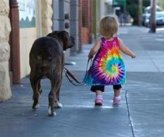 cani-e-bambini