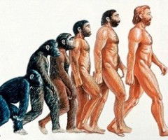 evoluzione