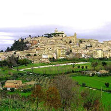 ex tirassegno comune fermo