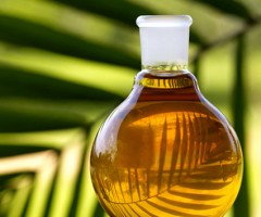 olio di palma