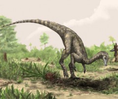 Nyasasaurus parringtoni