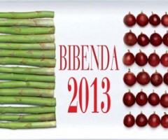 bibenda2013-520
