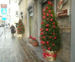 cupra marttima natale 2012