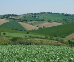 piano regionale di sviluppo rurale