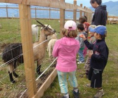 BIMBI E FATTORIA