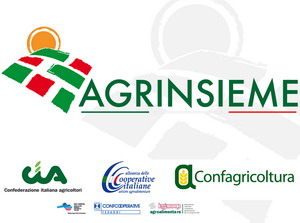 AGRINSIEME