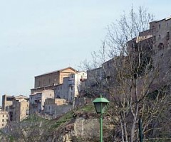 consiglio-comunale-force