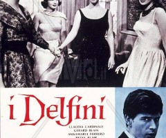 i delfini