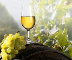 vino-marche-estero