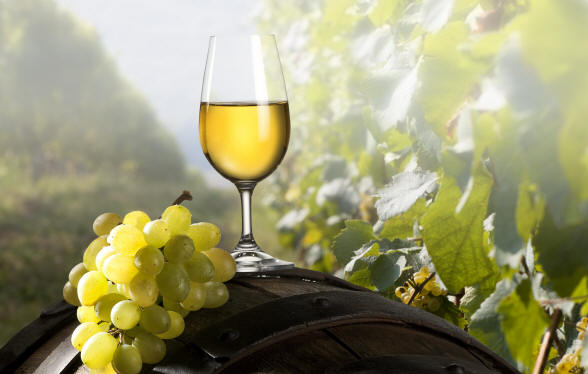 vino-marche-estero