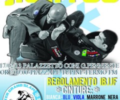 brasilian jiu jitsu