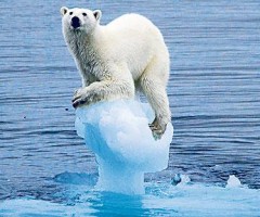 cambiamenti climatici