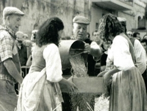 foto mostra acquaviva