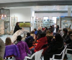 museo ittico