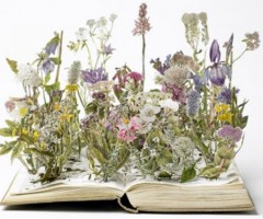 mazzi-di-fiori-di-carta