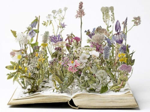 mazzi-di-fiori-di-carta