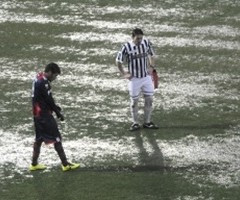 stadio scida