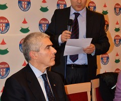 viscione-casini