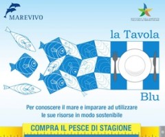 locandina mare vivo