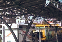 tettoie