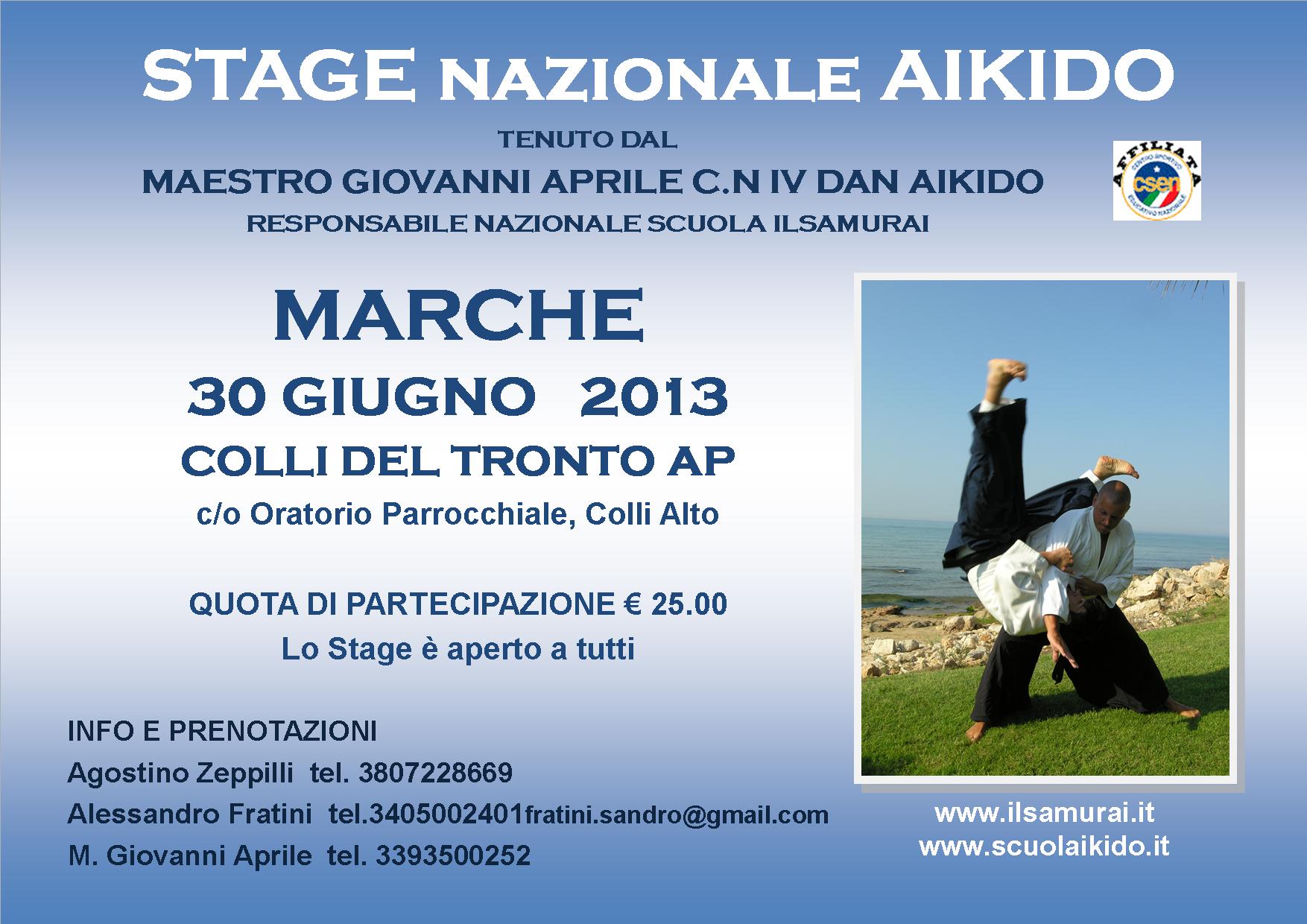 Stage Aikido a Colli del Tronto