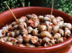 bomboletti