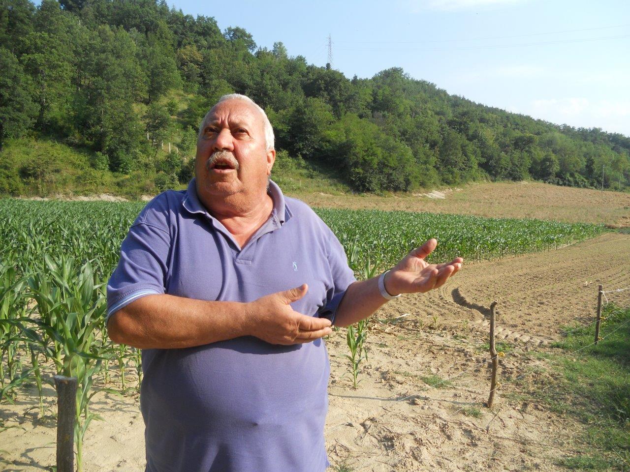 agricoltore-venarotta-cinghiali