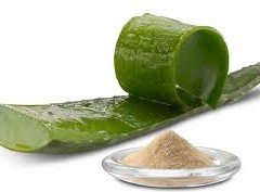 aloe