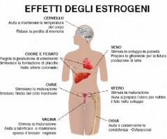 estrogeni