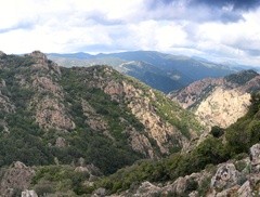 montalto-franco emidi
