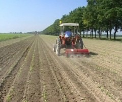 bandi-imprese-agricole
