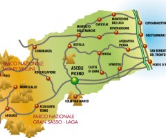 pianta piceno