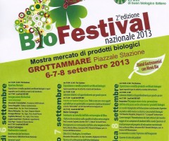 Locandina2013