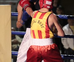 boxe ascoli