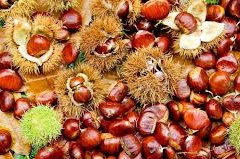 delizie-autunno-al-colucci