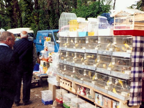 fiera-degli-uccelli-6-ottobre